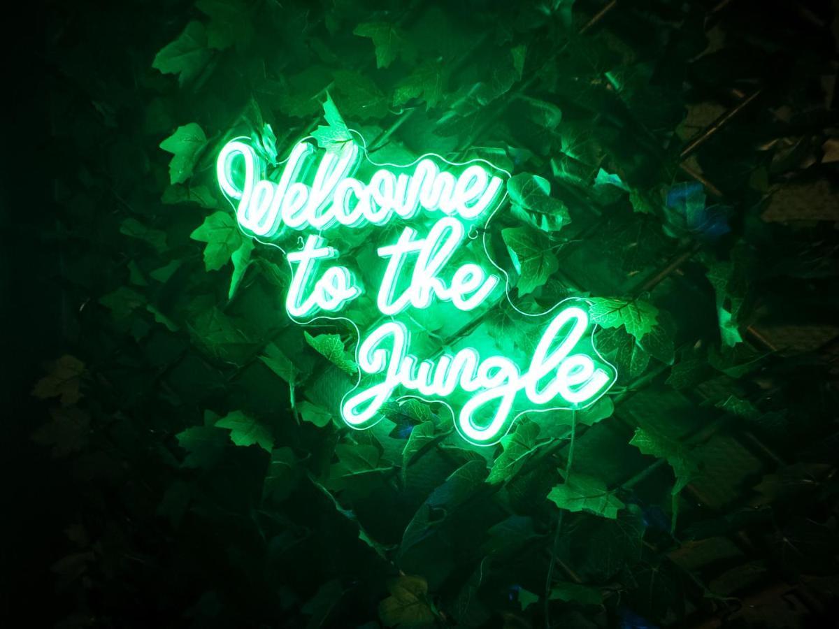 Jungle Urbain- Sauna - Cine - Hamac - Hyper Centre アミアン エクステリア 写真